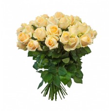 15 роз Пич Аваландж (50 см)